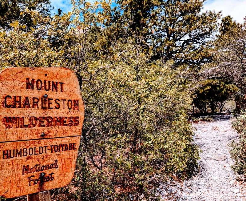 Mount Charleston Developed Recreation Areas