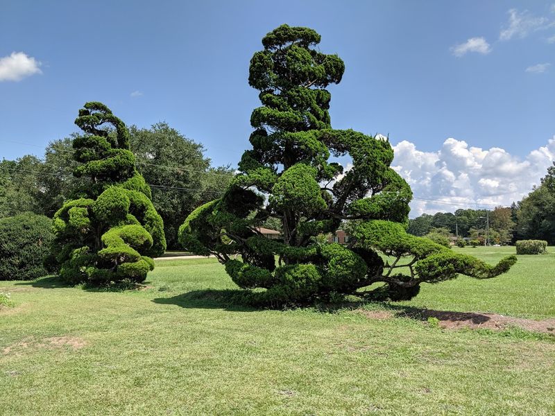 Pearl Fryar Topiary Garden 