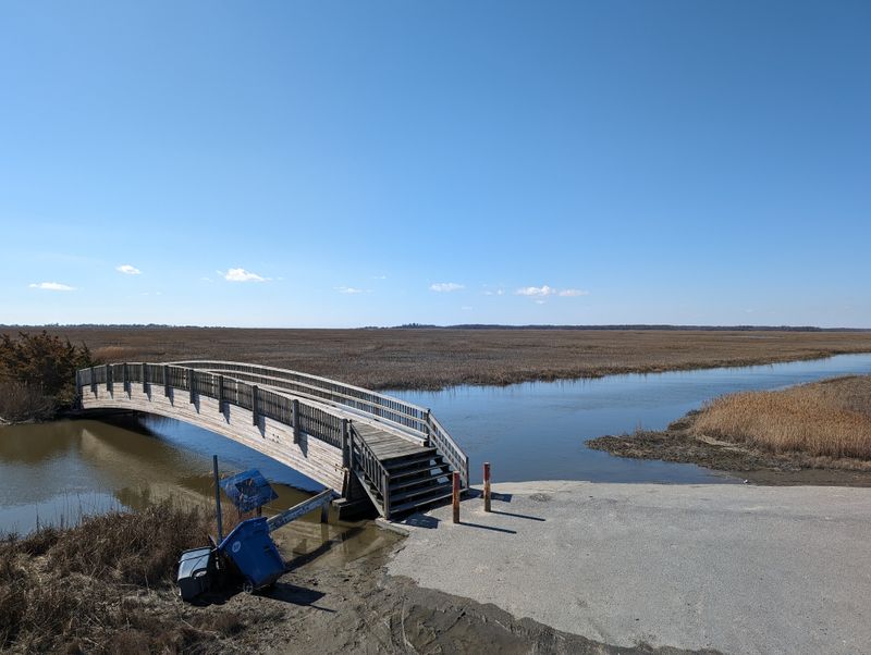 Boardwalk Trail Through Coastal Habitats