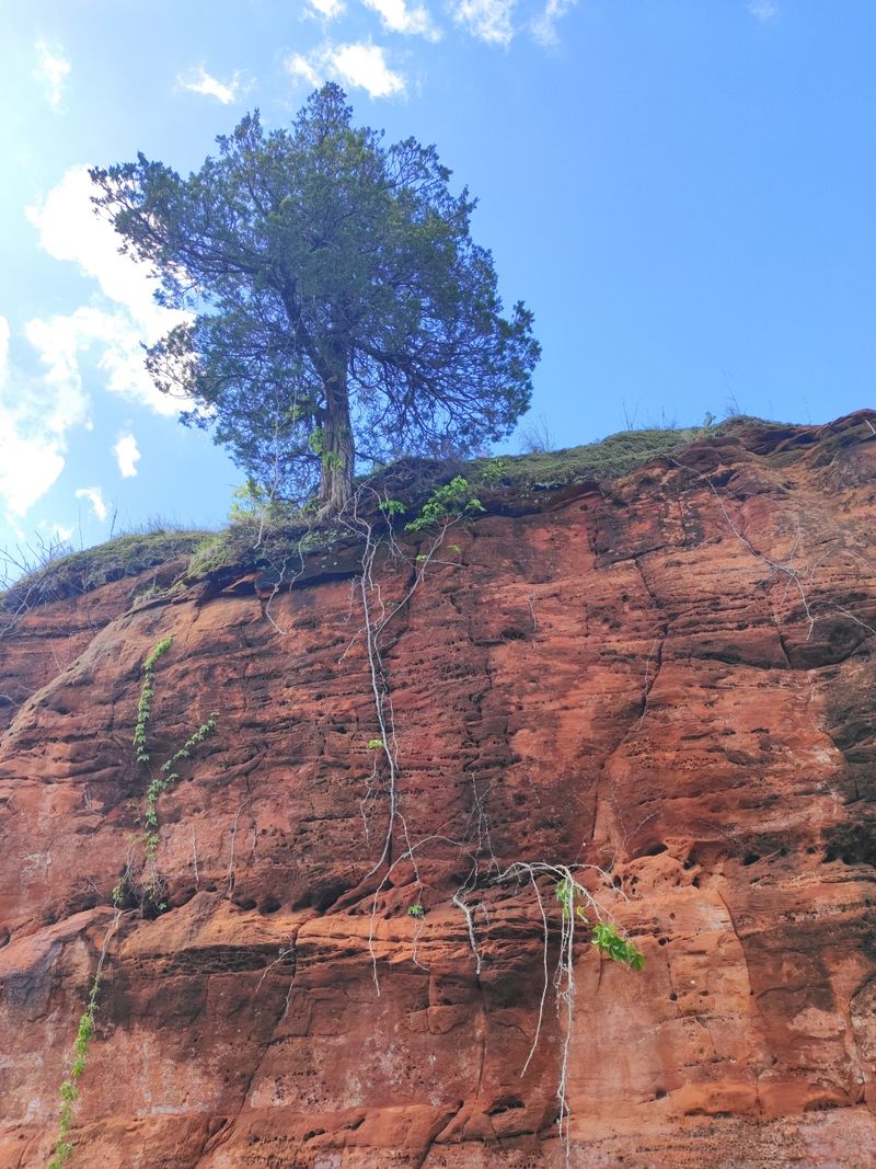 Privately Owned Park Preserves State History