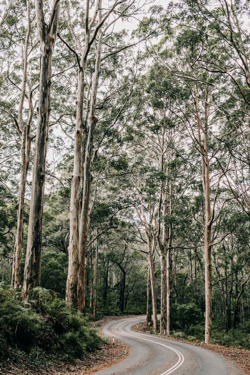 Surprise: How Much Wilderness Still Exists