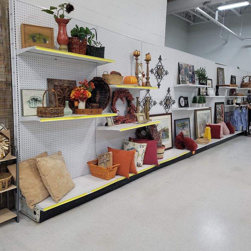 Collectibles Corners That Make You Stop Mid-Walk