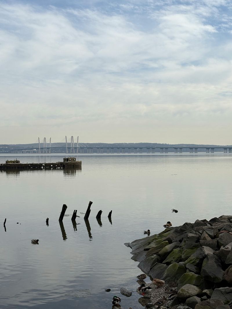 Seasonal Swings Shape Local Employment