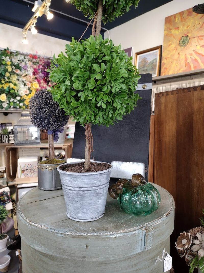 Best Times To Go When It Feels Calmest