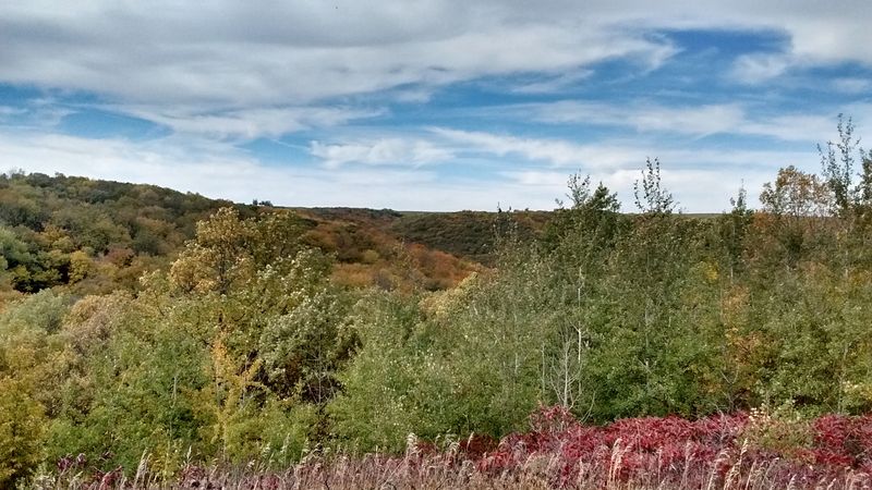 A Park That Feels Like A Secret The Plains Keep