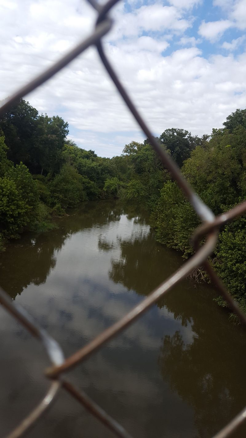 The View From the Middle