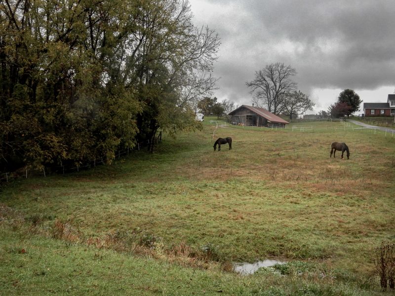 Smithfield Plantation Preserves Colonial History