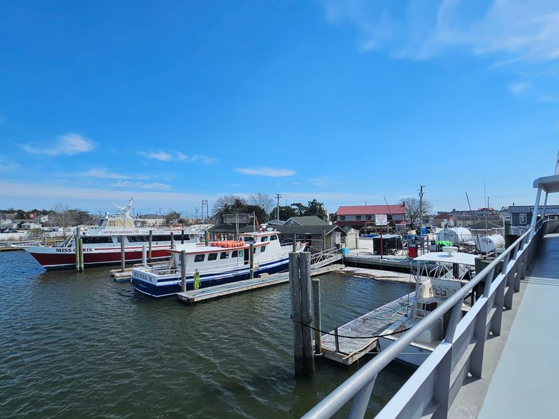 Complimentary Food That Surprises and Delights