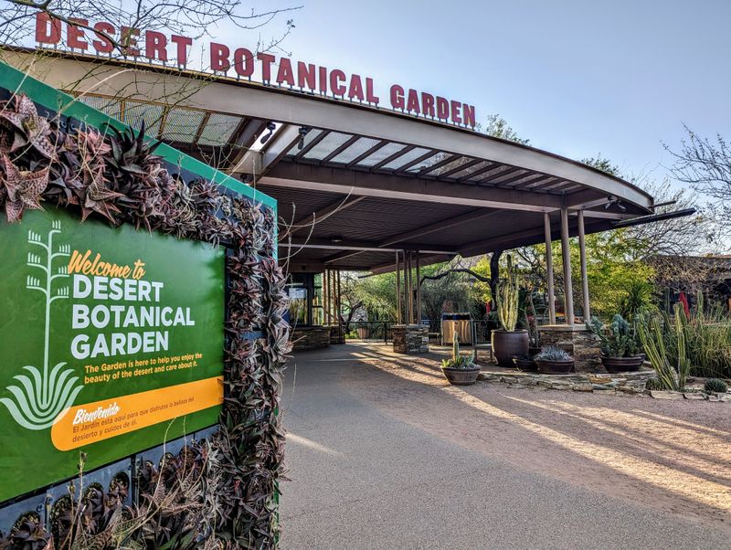 Rolling In Together, Camera Rolls Already Ready