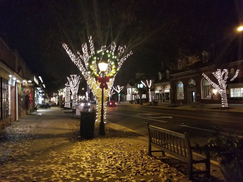 Seasonal Festivals and Food Vendors