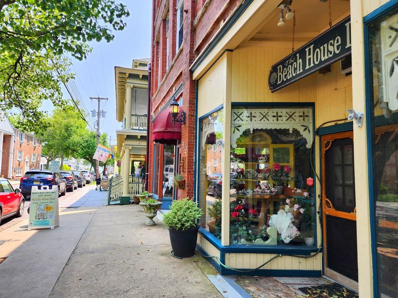 The Town Center: Main Avenue and Its Shops