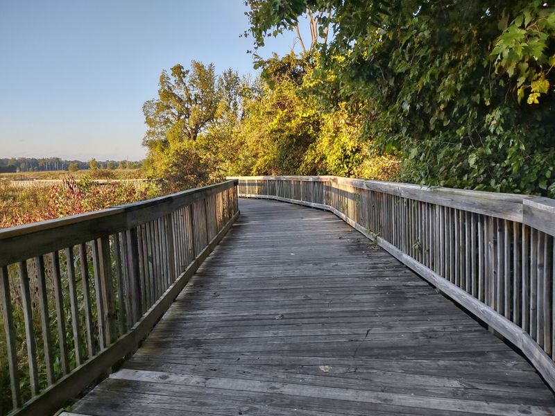 Educational Programs Connect Visitors With Conservation Efforts