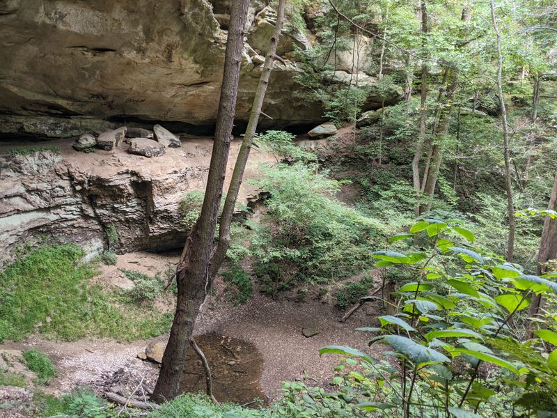 Litter and Vandalism Have Marred the Natural Beauty