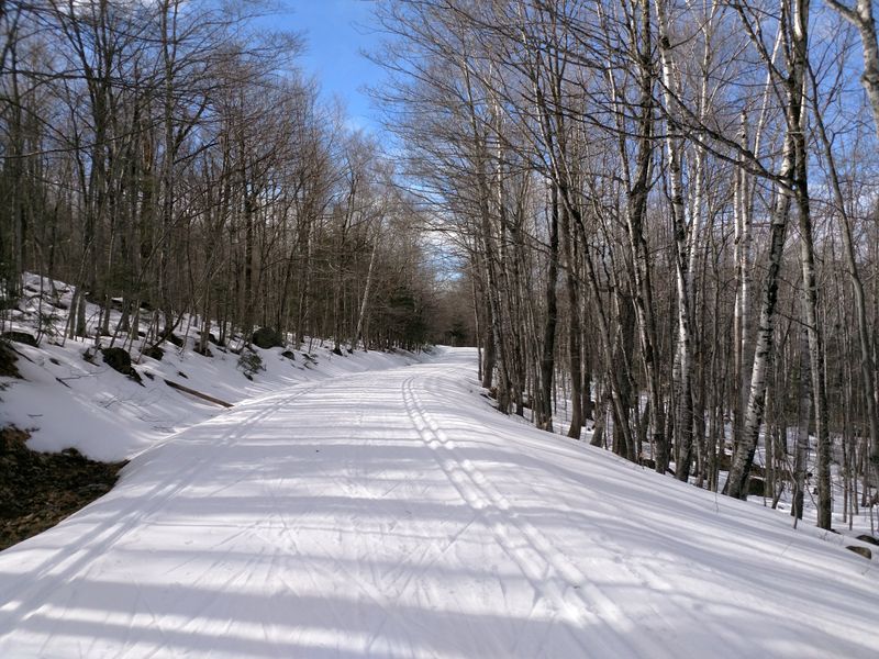 Cross-Country Skiing Runs Through Town