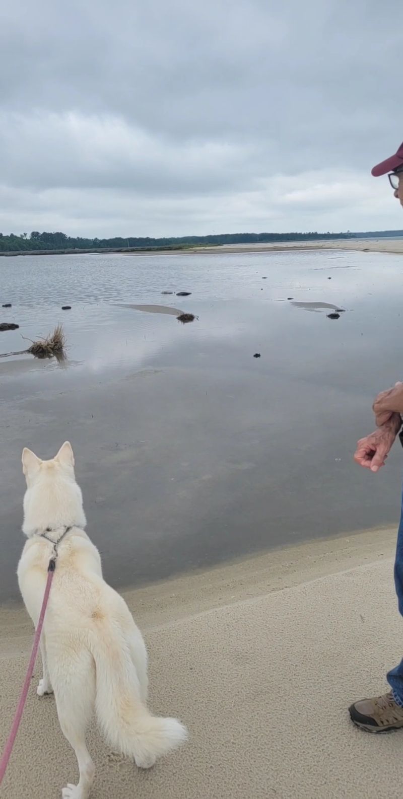 Dog-Friendly Trails Welcome Leashed Companions