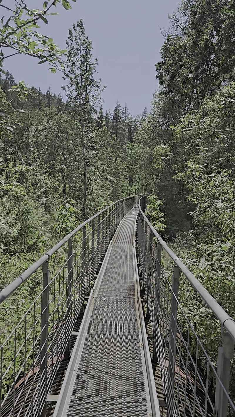 Year-Round Accessibility