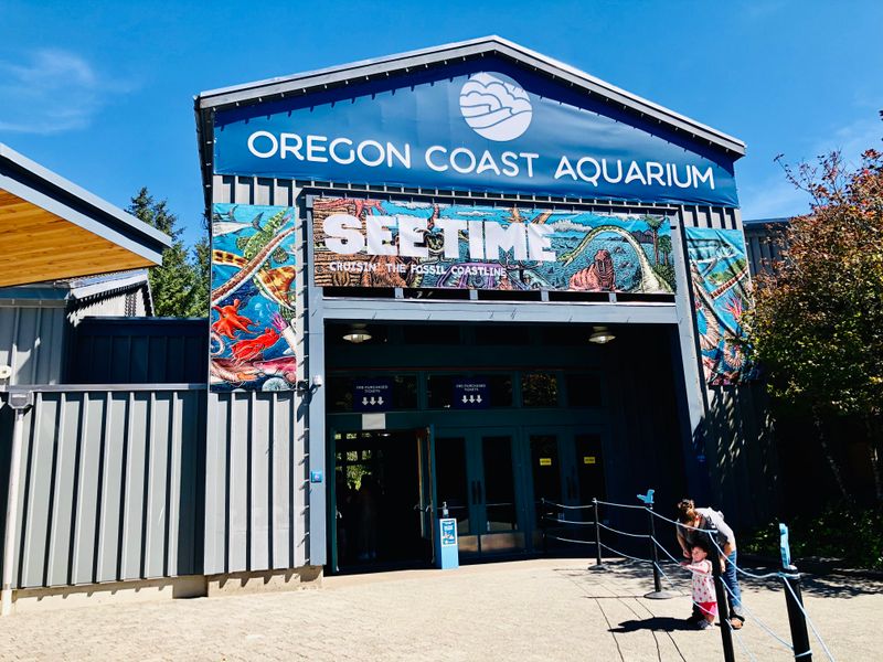 Seven-Gill Shark Exhibit