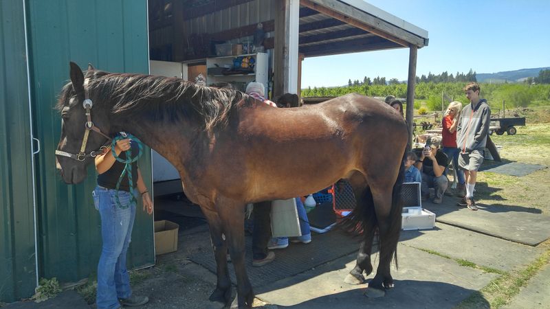 Small Groups Mean Personal Attention