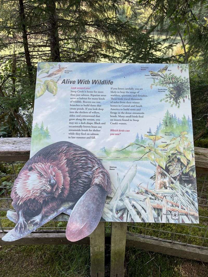 Closures Happen For A Good Reason