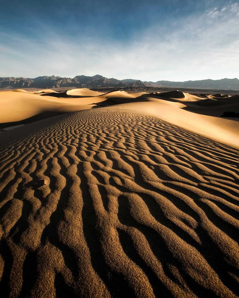 Extreme Heat As A Constant Presence