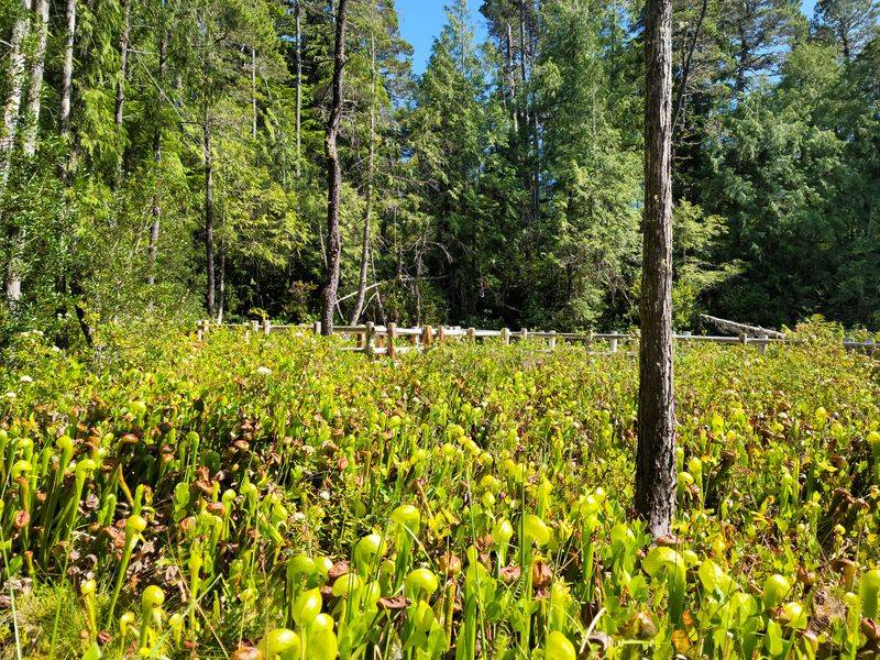 The Park is Open 24 Hours Every Day