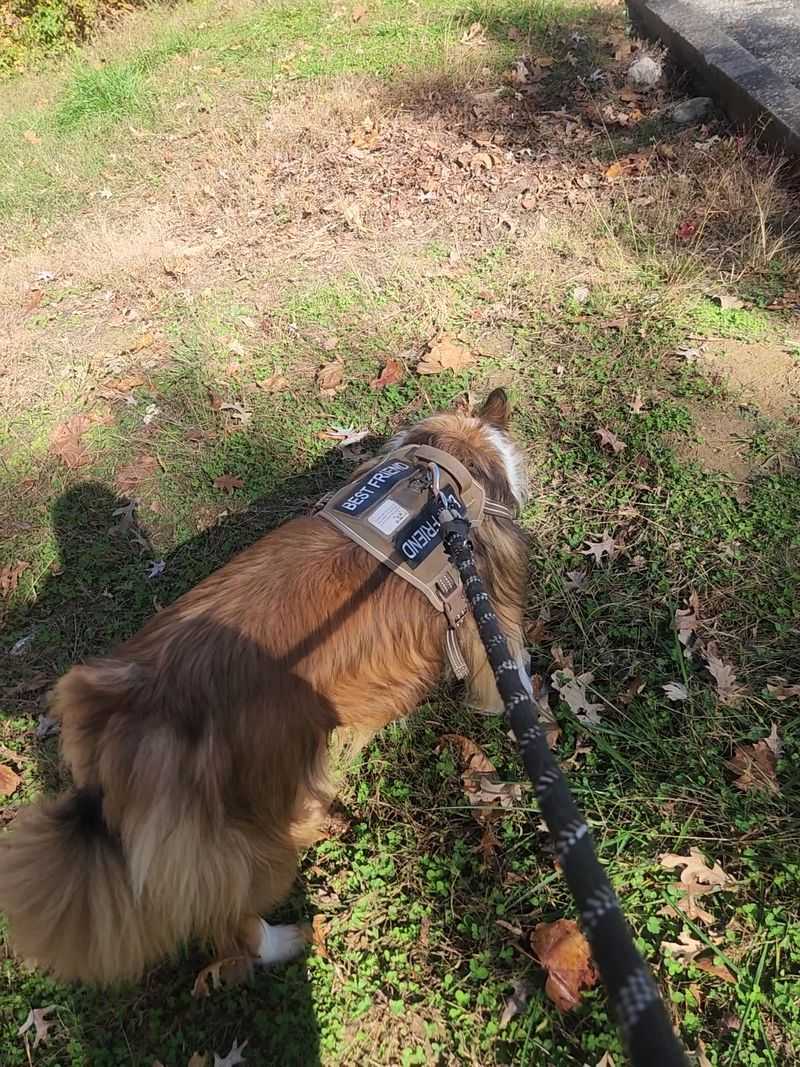 The Rules Are Friendly