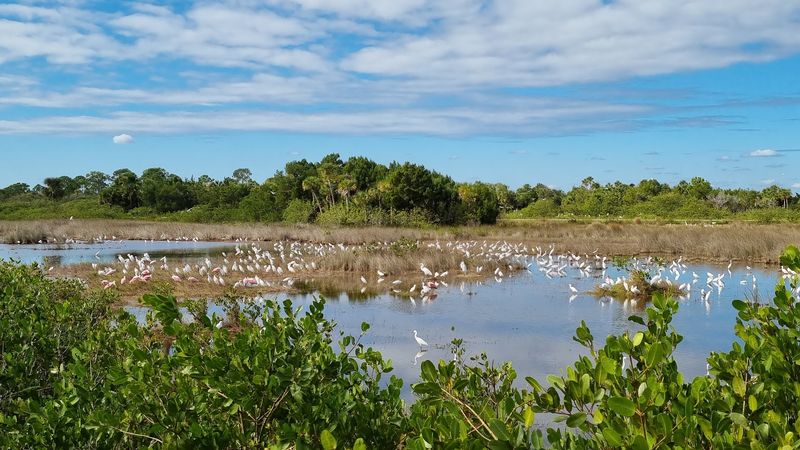 Merritt Island National Wildlife Refuge 