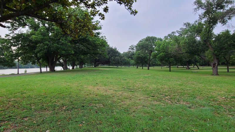 The Hidden Bamboo Forest That Feels Completely Out of Place (in the Best Way)