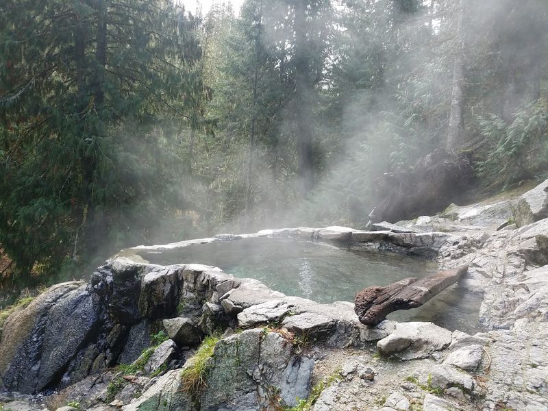 Weir Creek Hot Springs (Hwy 12 Corridor)