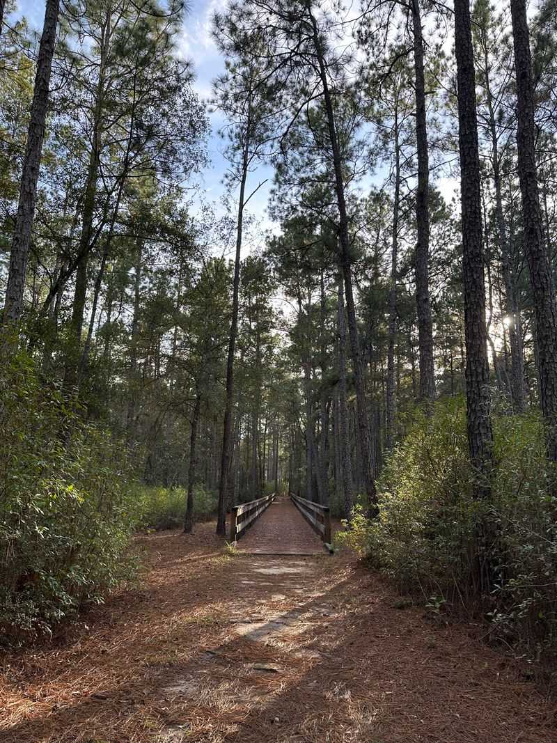 Big Thicket National Preserve