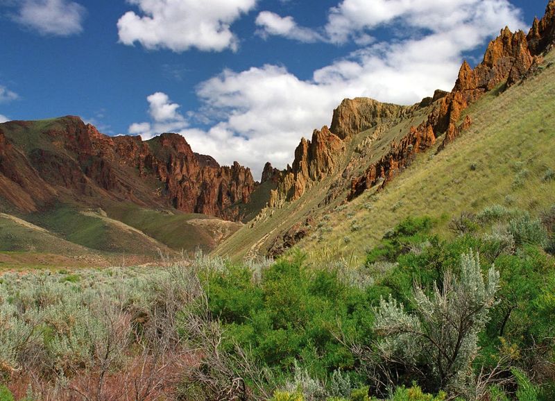 Leslie Gulch