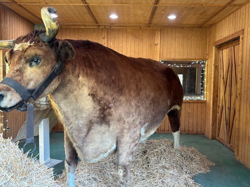 Old Ben Statue (Kokomo)