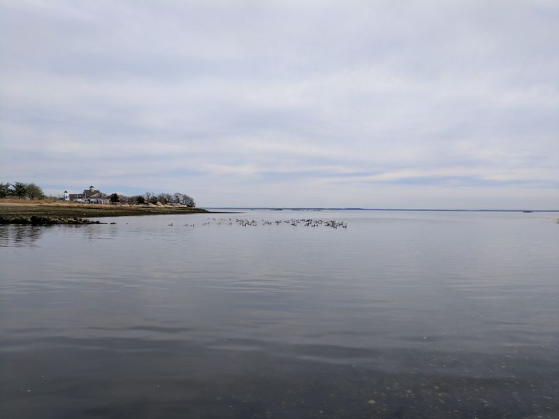 Birdlife Everywhere You Look