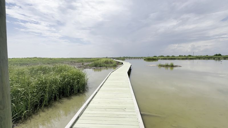 The Marsh Nature Trail Experience