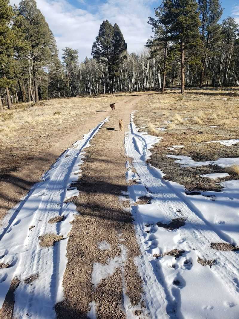 Crowd Moments: Passing People Without Stepping Into Flowers
