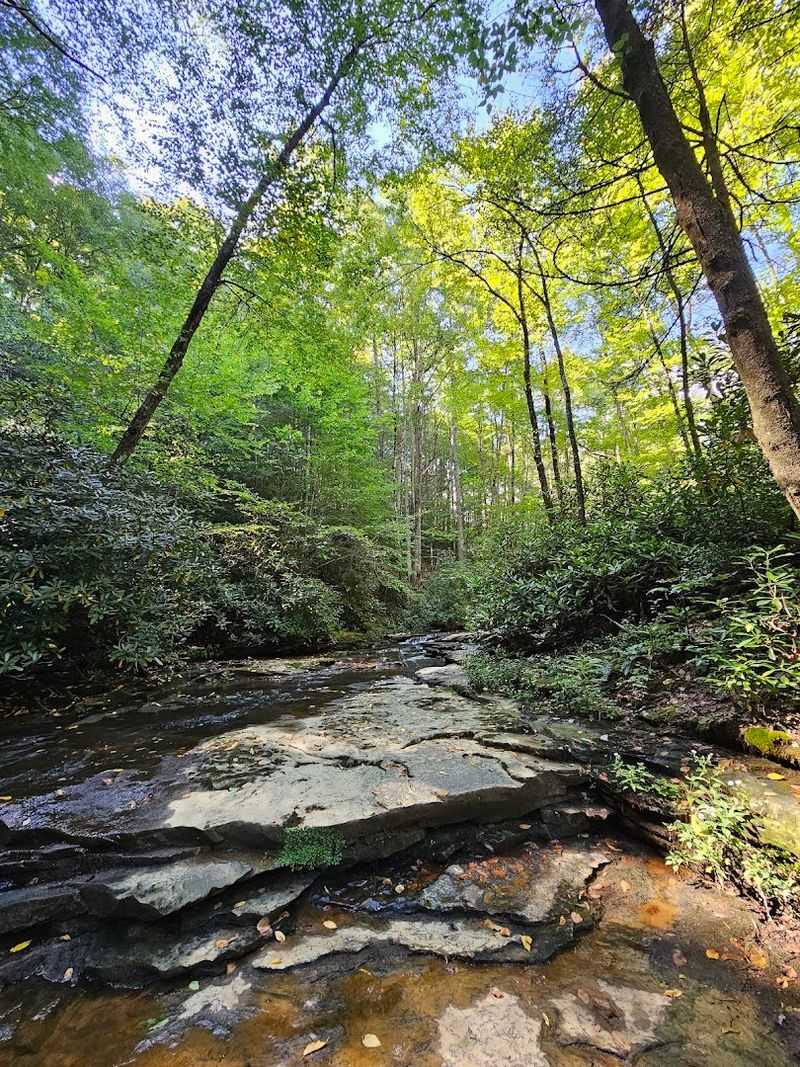 What To Do When You See A Shortcut Forming In Real Time