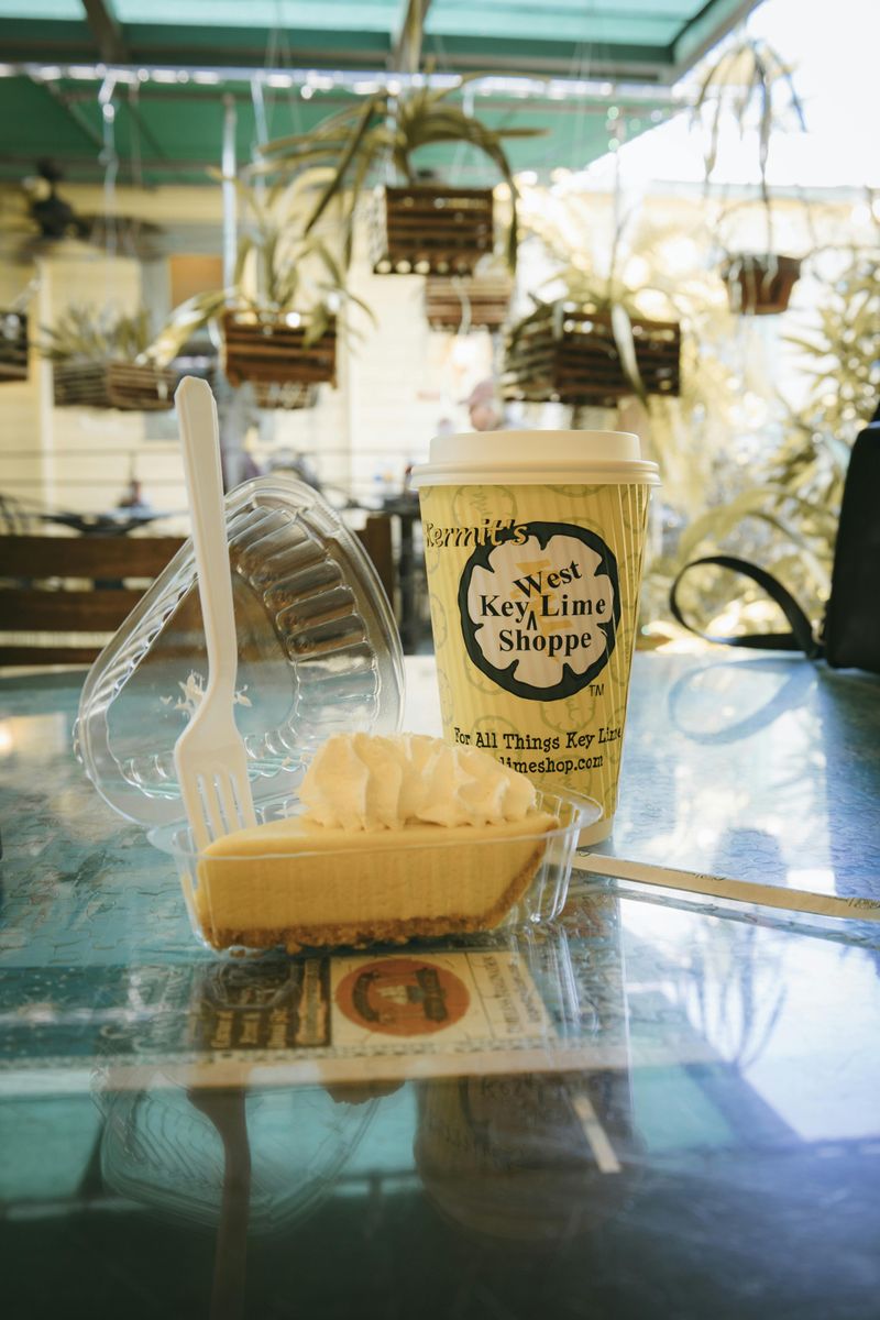 Outdoor Dining Moves That Keep Birds Off Your Table