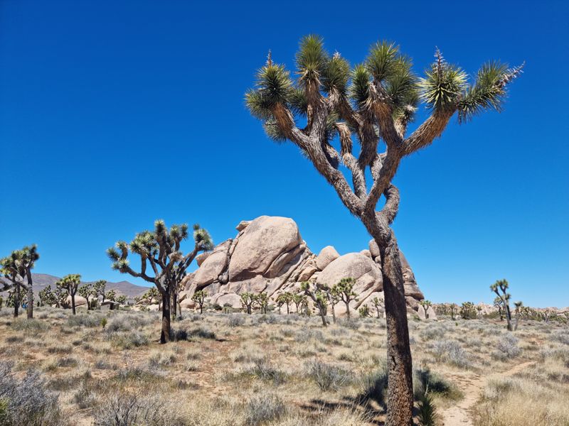 Beach Drives And Desert Highways Defined The Mood