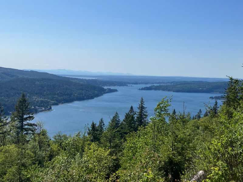 Bellingham Bellingham