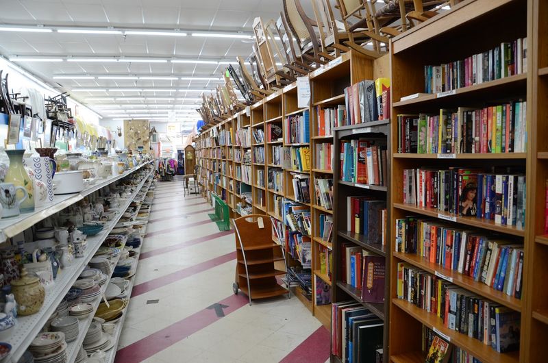 Books, Media, And Old-School Finds That Spark Nostalgia Fast