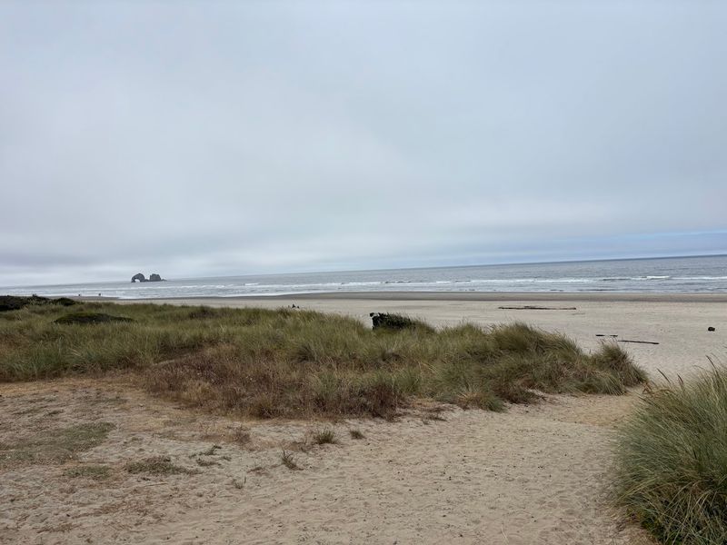 Spring Excursions Showcase Seasonal Wildlife and Wildflowers