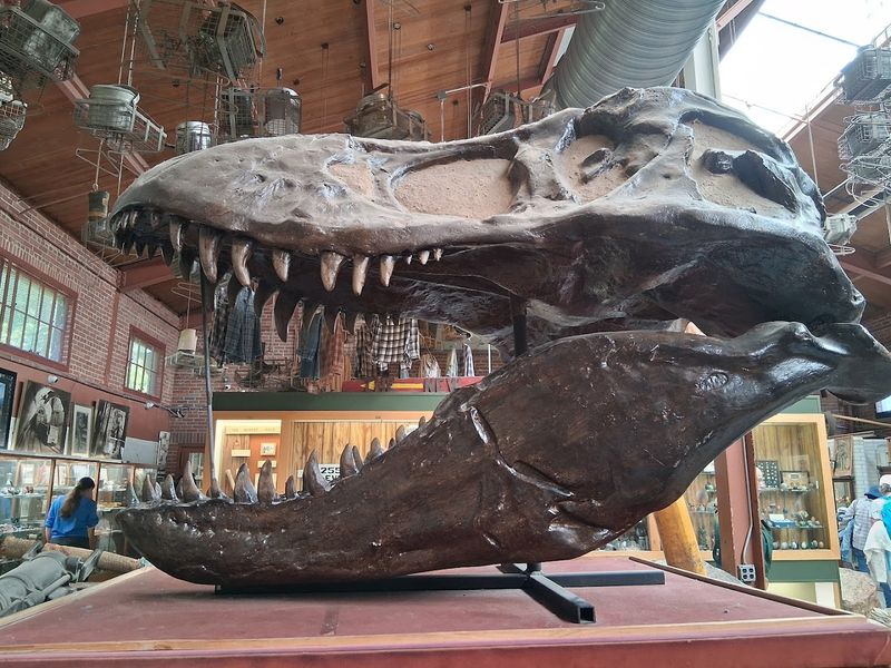 The Museum Buildings and Historical Exhibits