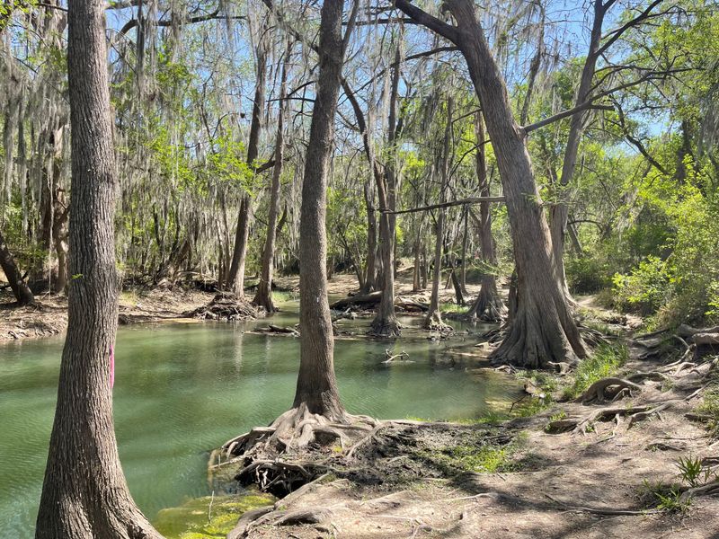 The Castroville Regional Park And Outdoor Recreation