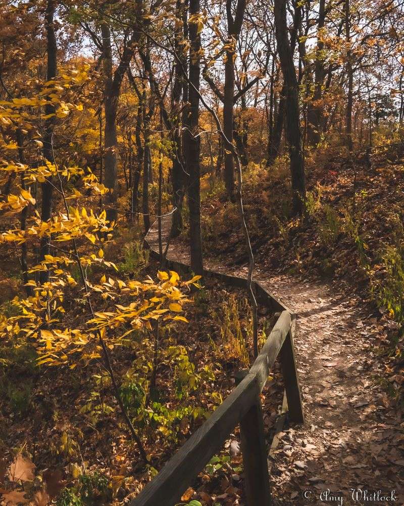Clegg Memorial Gardens and Botanical Spaces