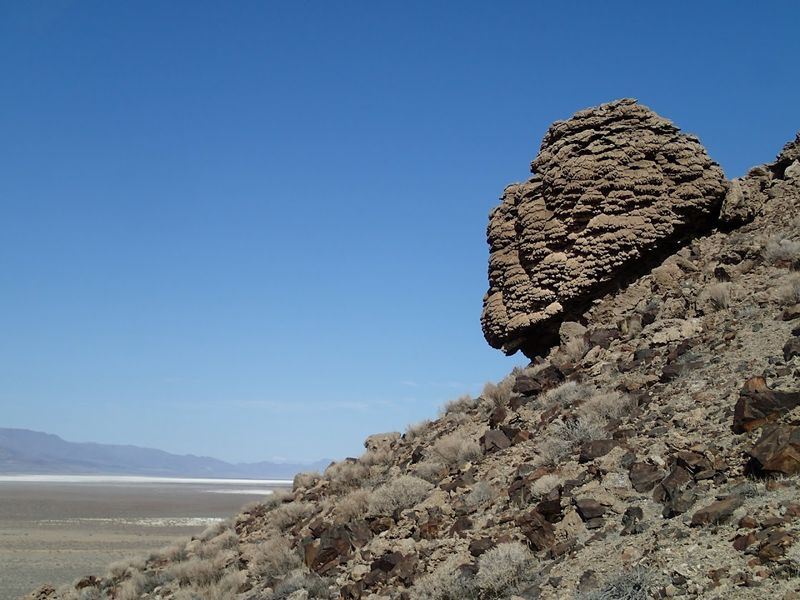 Winnemucca Lake Petroglyphs
