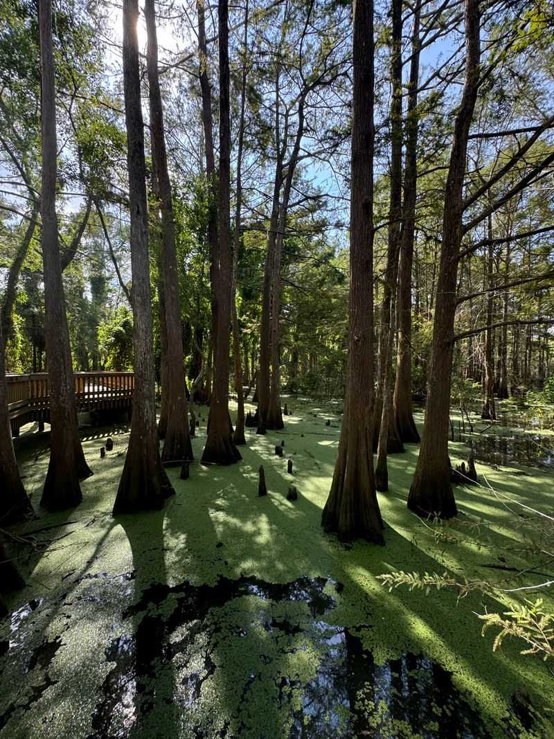 Anahuac National Wildlife Refuge