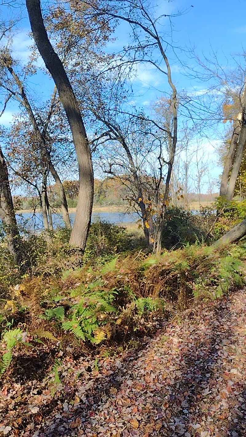 Sussex Branch Trail Offers Miles of Easy Walking