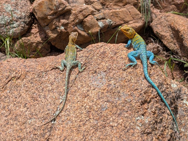 Wildlife Photography Has Crossed Ethical Lines