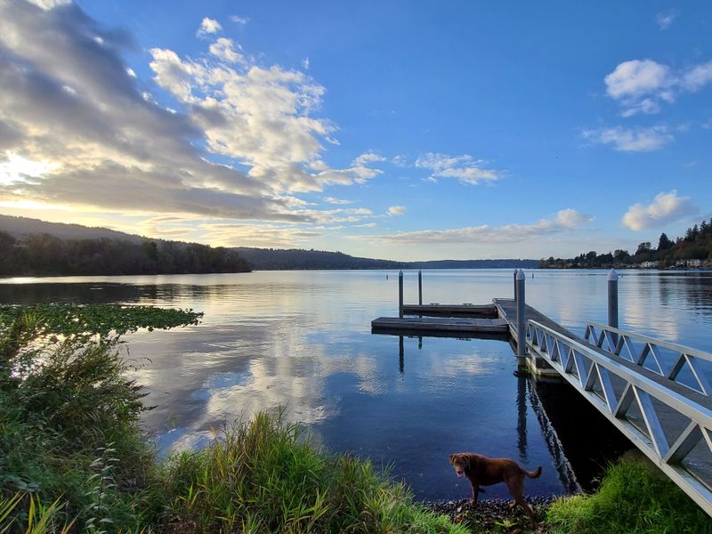 Sammamish Sammamish