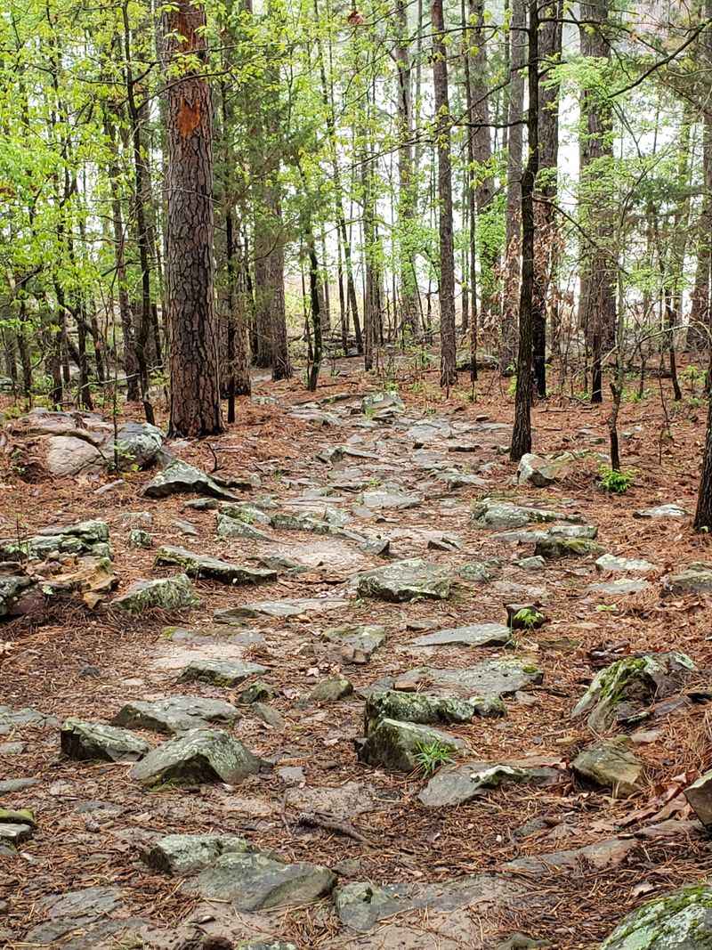 Hiking Trails That Reward Every Step